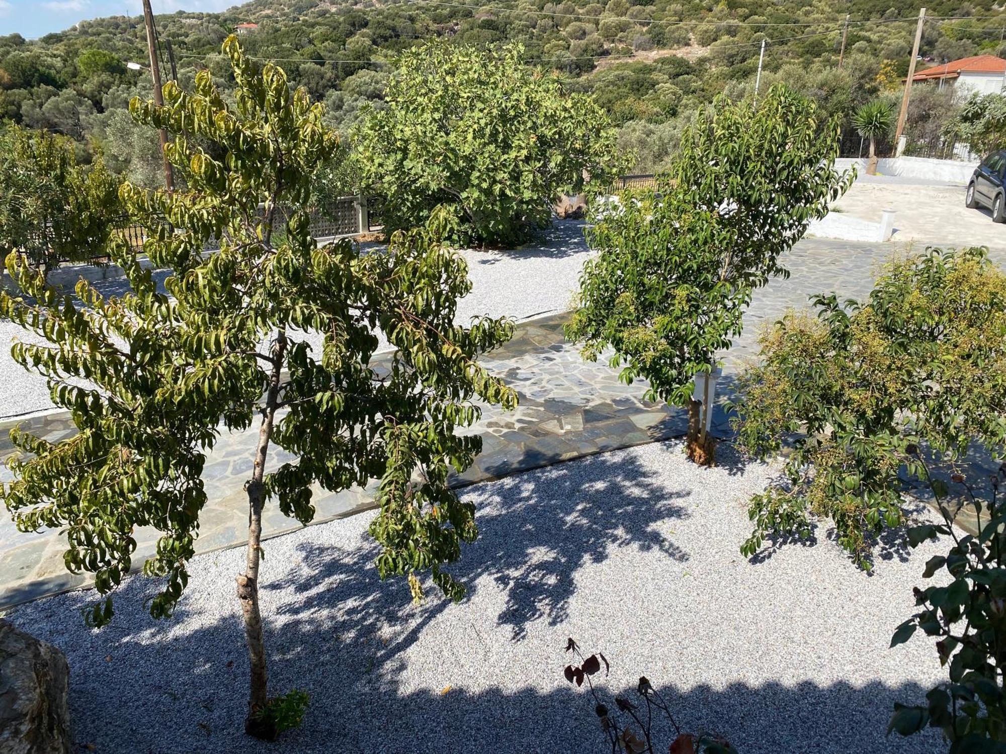 Villa Karras 피타고레이오 외부 사진